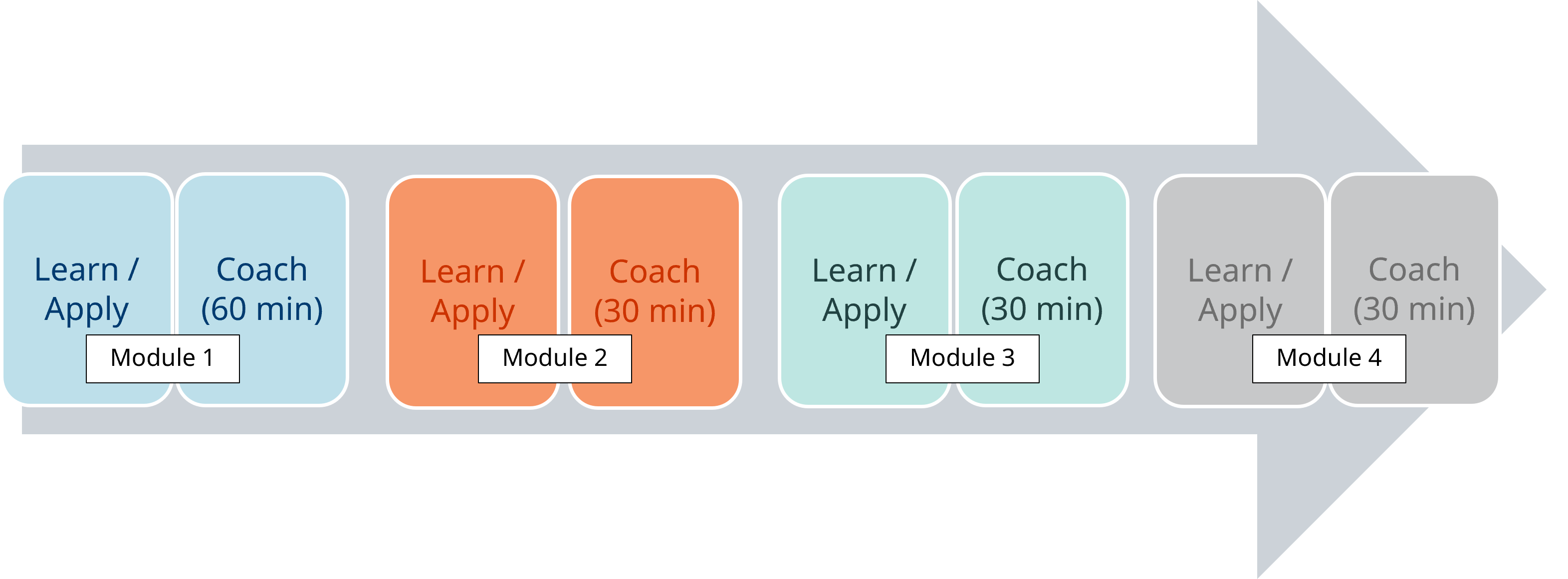 Scalable Coaching Timeline